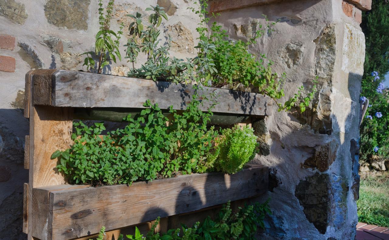 Bed and Breakfast Dojo Bianco Massa Marittima Exterior foto